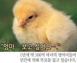 맛있다고 또 먹어대는 치킨… 이래도 드시겠습니까? | 인스티즈