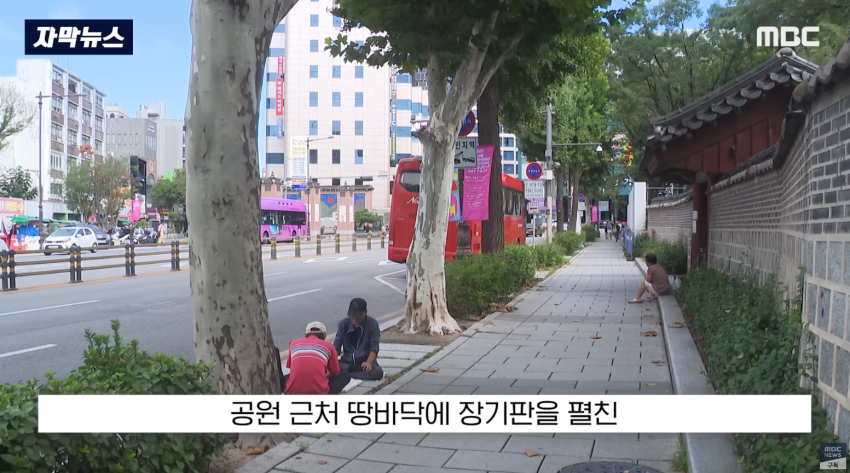 드디어 탑골공원 정상화 | 인스티즈