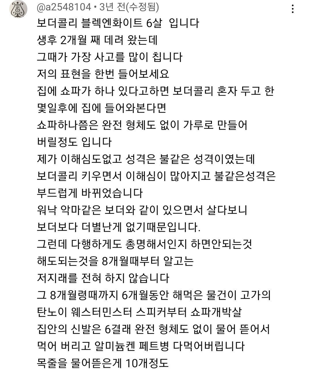 평화를 유지 못한다면 집이 개박살낸다는 강아지 | 인스티즈