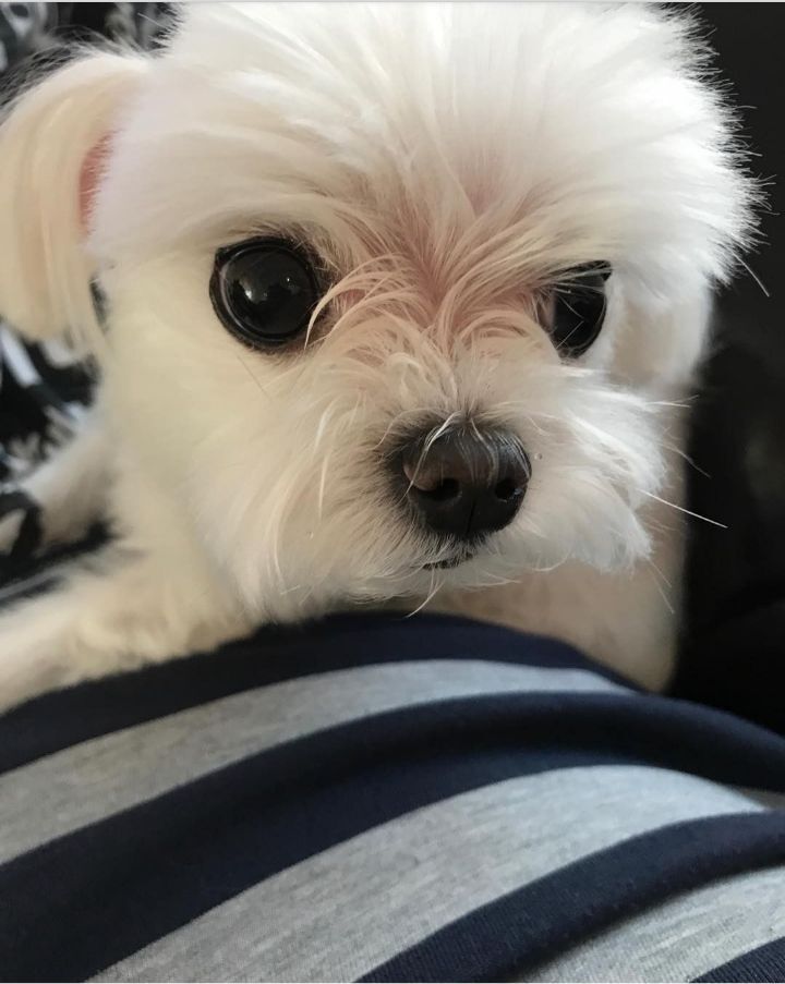 28ea1486dbb202e96ddc9d016b1317668a2ed7e2