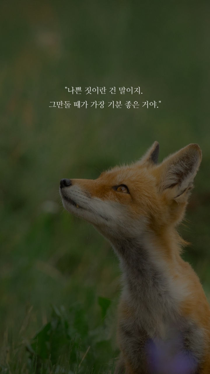 보노보노 명대사 | 인스티즈