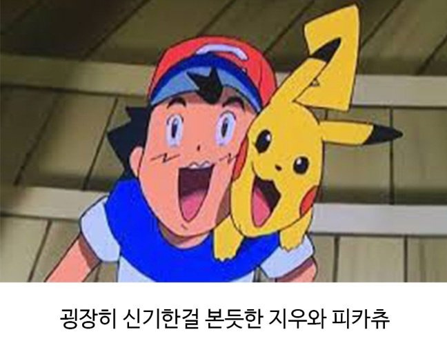 포켓몬 보다가 발견한 작붕ㅋㅋㅋㅋ.jpg | 인스티즈