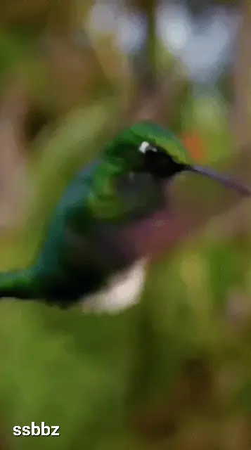 3대 항공 사고.GIF | 인스티즈