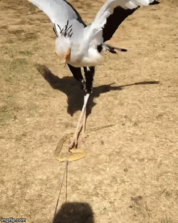 296037c55b1b79c87f2589e8e705085302823804