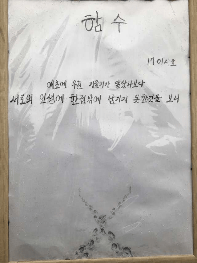 문이과 통합형 인재 | 인스티즈