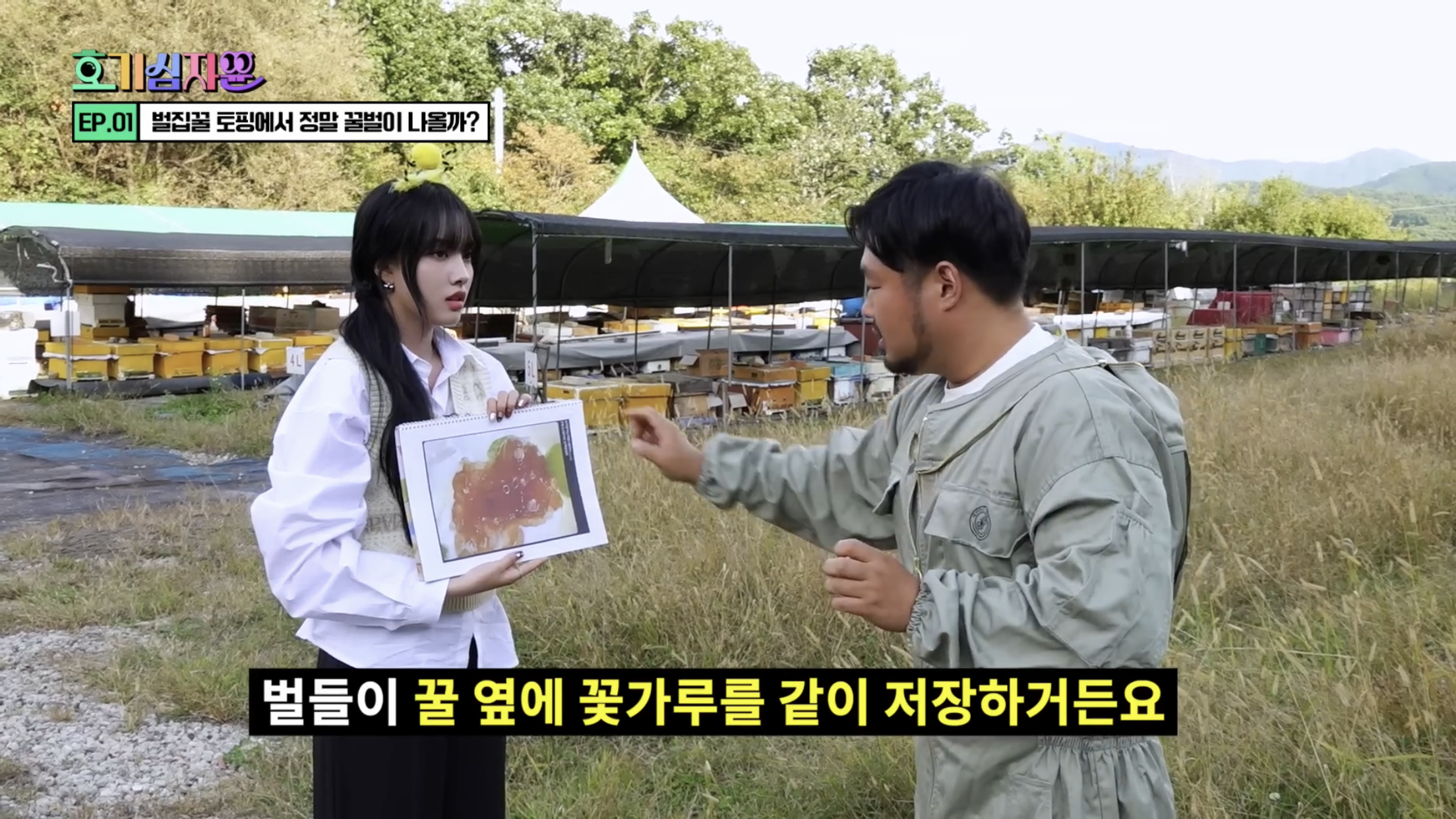 요거트 아이스크림 벌집꿀에서 나오는 벌의 정체............jpg | 인스티즈