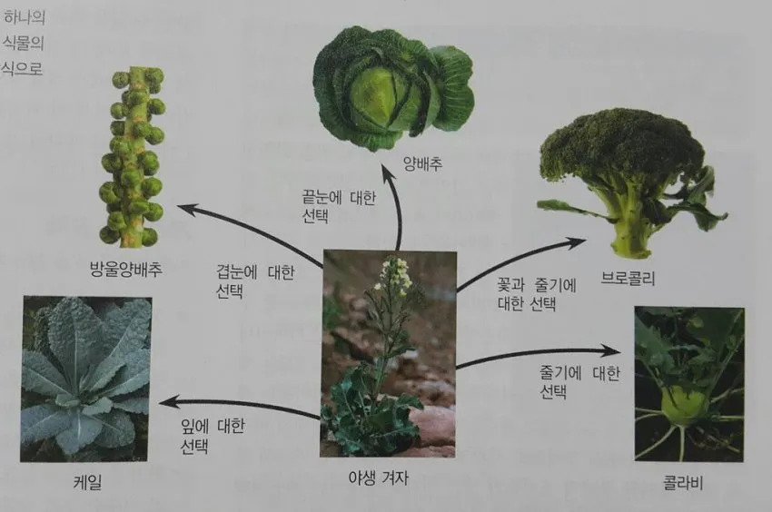 2973fb1ca57197048bfd403319cd96be46ad4f17