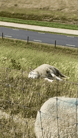 만사가 귀찮다 | 인스티즈