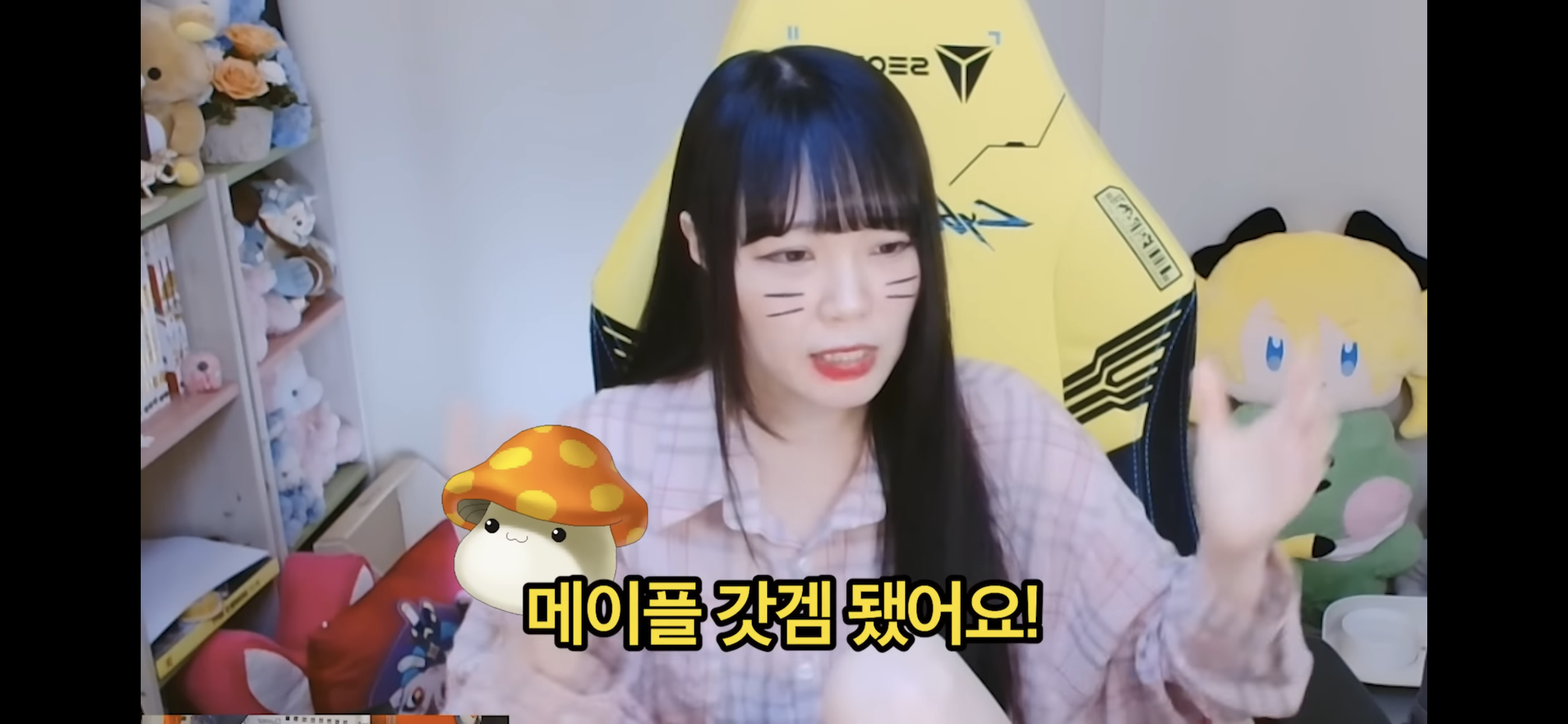 서새봄이 보는 메이플스토리 | 인스티즈