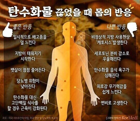 탄수화물 끊었을 때 몸의 반응 | 인스티즈