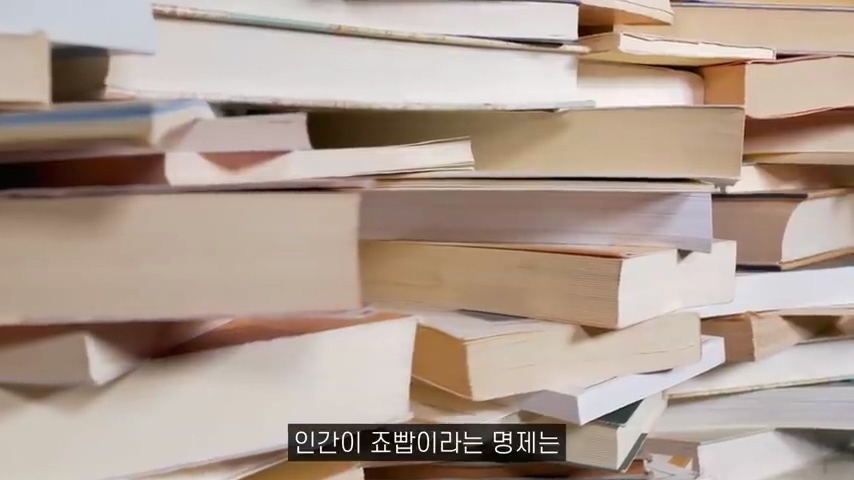 수많은 책들이 전하고자 한 하나의 인사이트 | 인스티즈