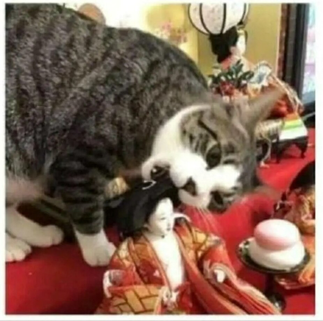 일본의 귀신들린 인형.jpg | 인스티즈