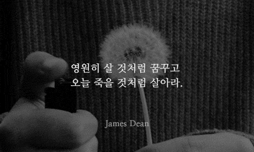 내일이 두려운 당신에게 필요한 13가지명언 | 인스티즈