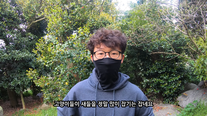 [사진100장스압] 고양이가 자연생태계에 끼치는 심각한 영향 | 인스티즈