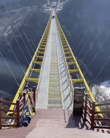 2adecf2cdddba7feb1d5521b42229e02b438b8d5