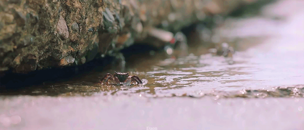 플립 커버 움짤로 쓰기 좋은 갯마을 차차차 풍경짤.gif | 인스티즈