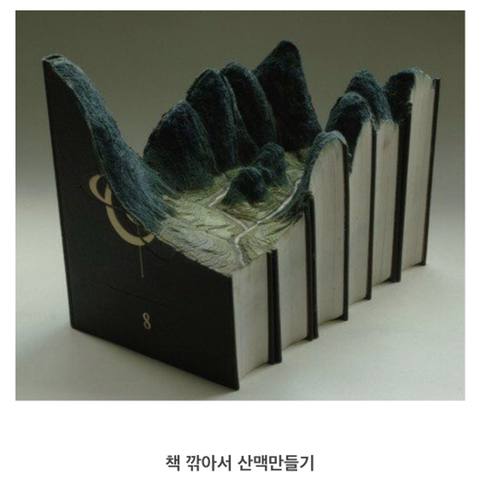 사람들이 잘모른다는 도서관 민폐행동 1위.jpg | 인스티즈