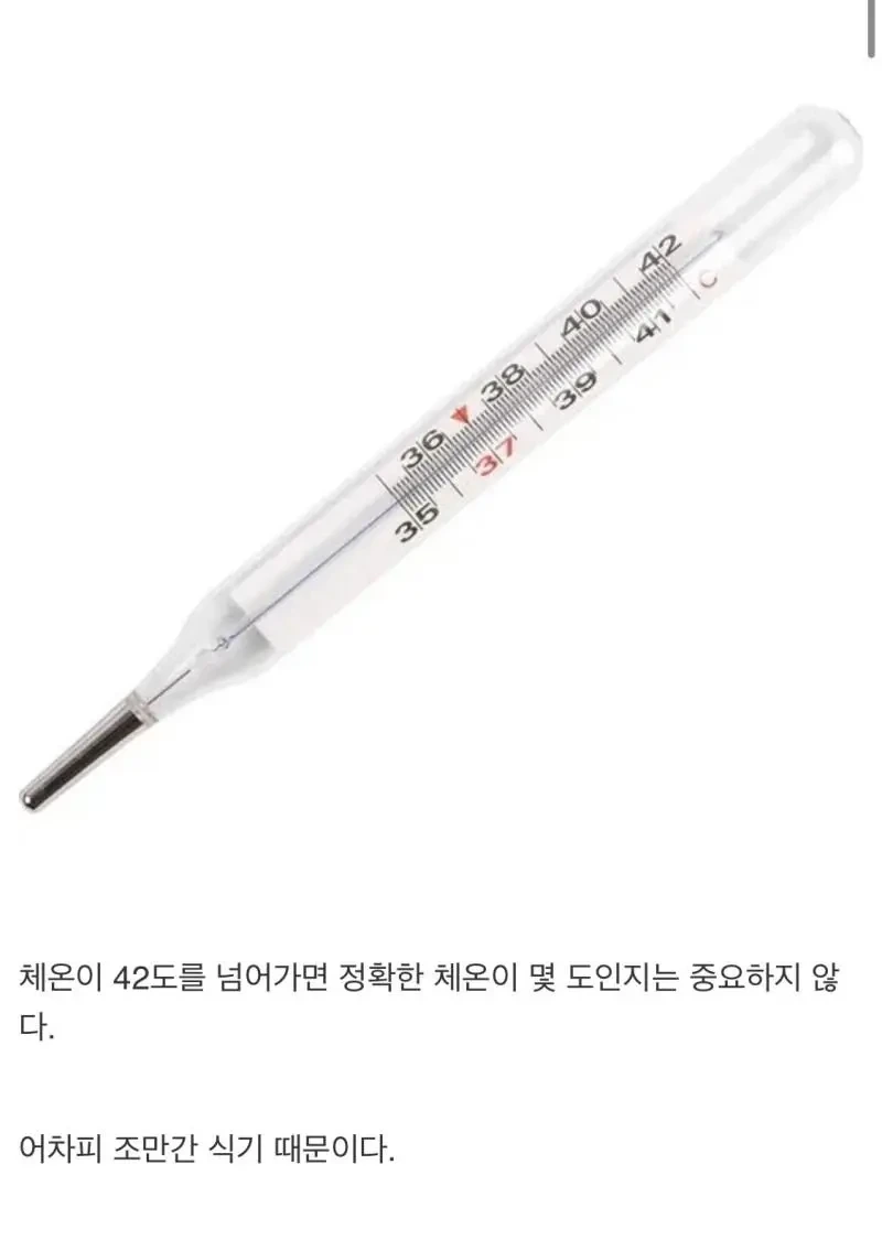 체온계가 42도까지밖에 못 재는 이유 | 인스티즈