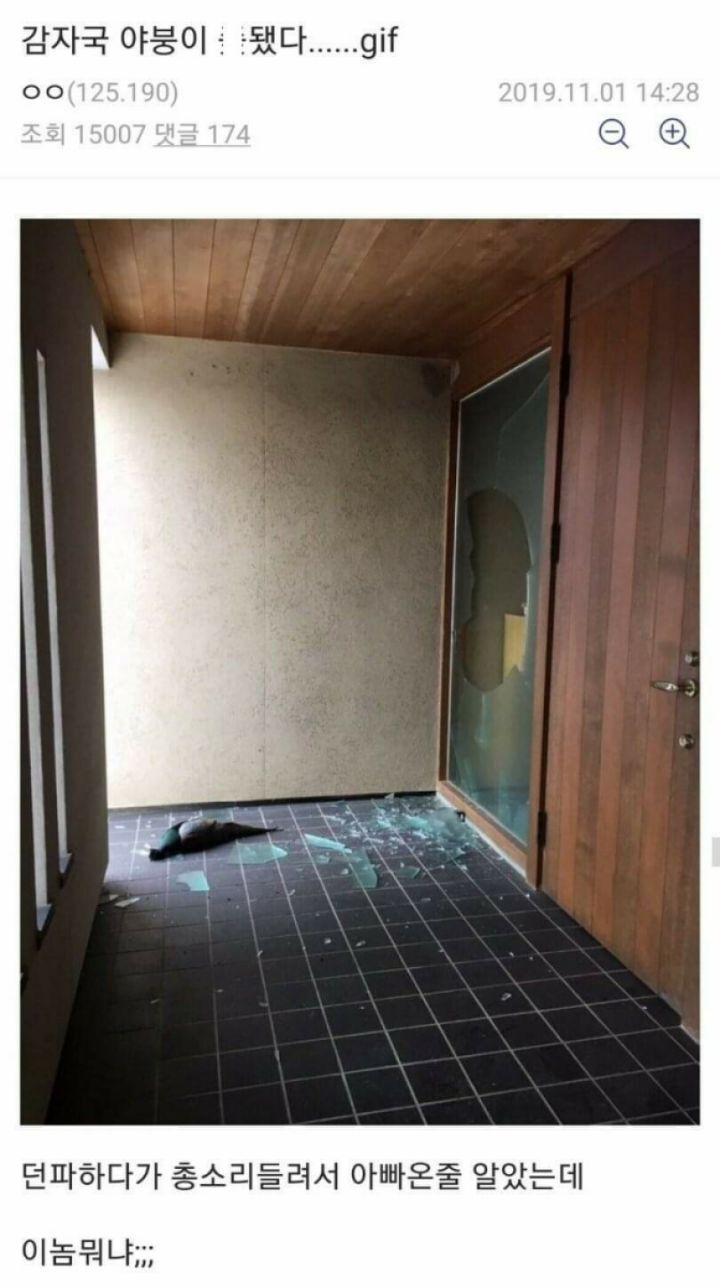 야붕이 실시간 x된 모음집 | 인스티즈