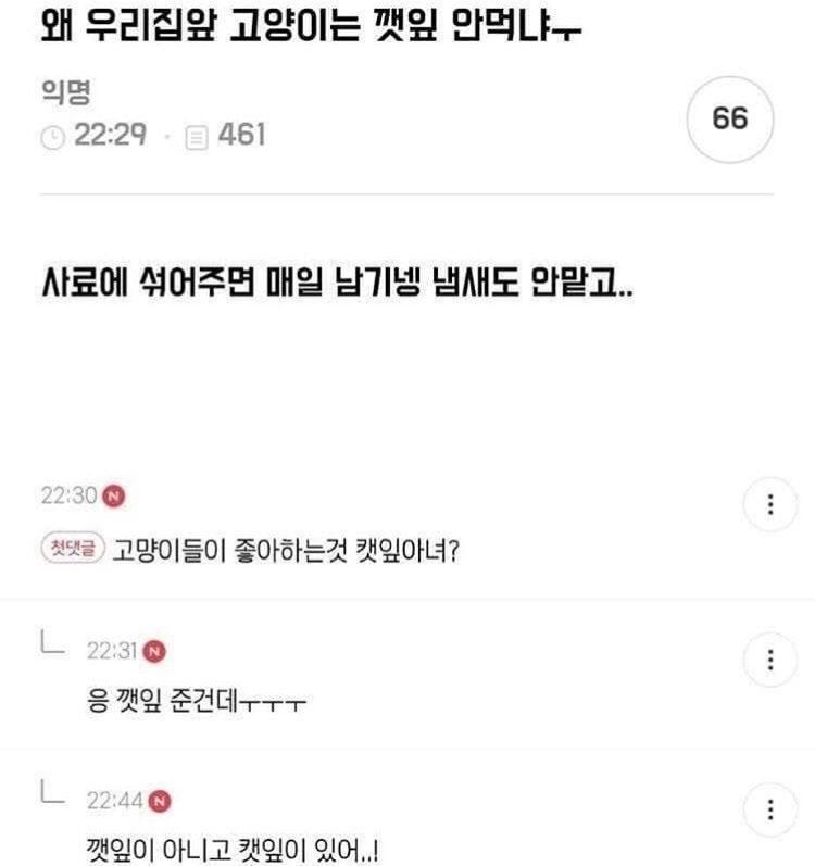 당면 이거 양 많냐(스압) | 인스티즈