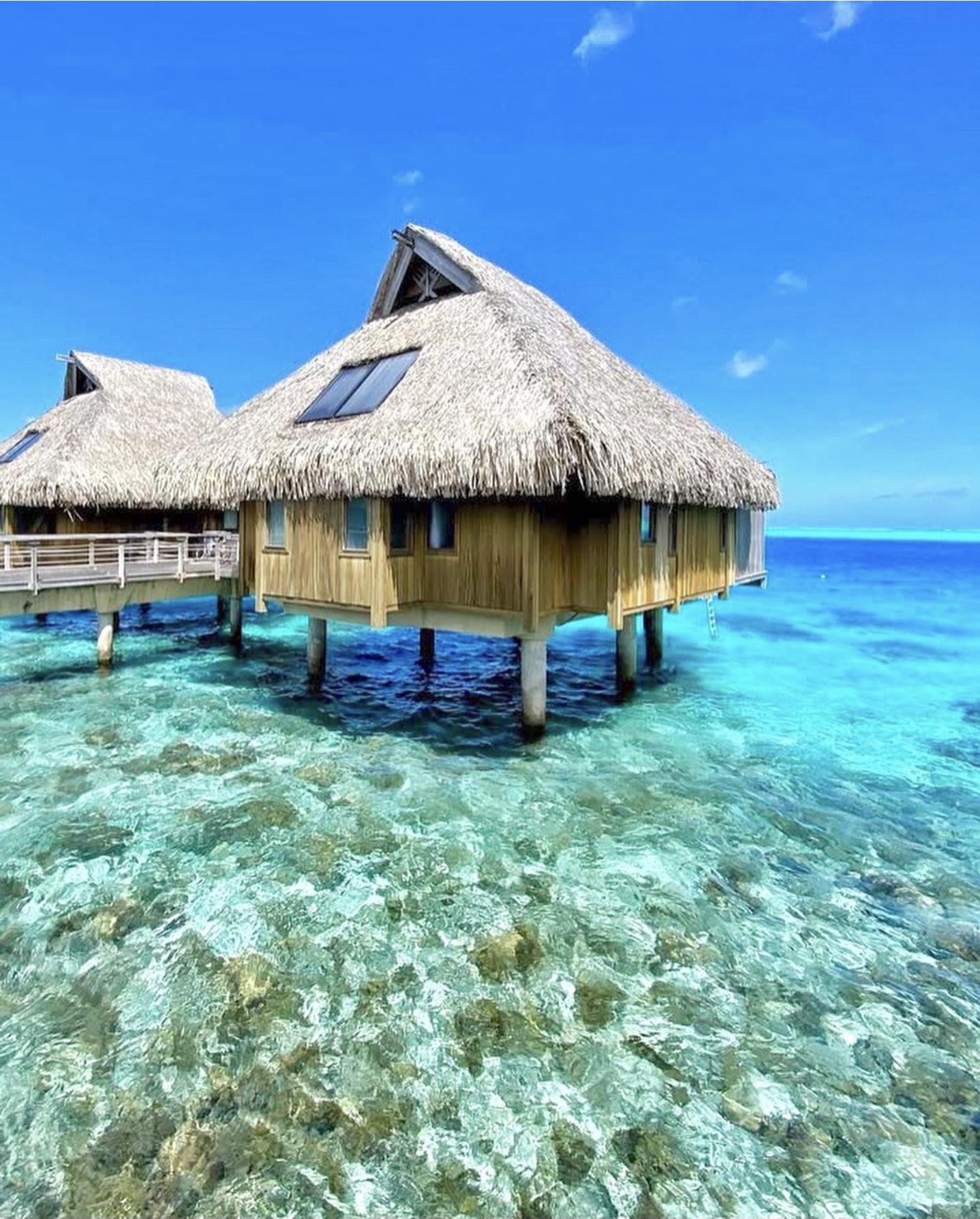 프랑스령 타히티 보라보라섬.jpg | 인스티즈