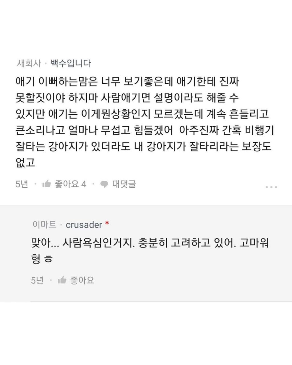 반려동물과 해외여행 욕심이다?아니다? | 인스티즈