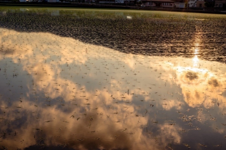 애니메이션 배경풍 사진 찍는 일본 여고생들 | 인스티즈