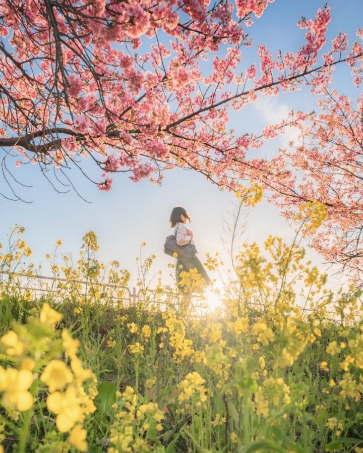 애니메이션 배경풍 사진 찍는 일본 여고생들 | 인스티즈