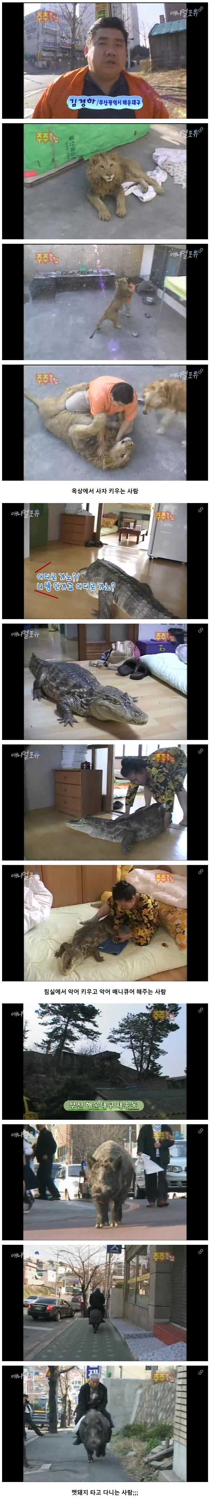 싱글벙글 광기 가득했던 2000년대 초반 ㅋㅋㅋ | 인스티즈