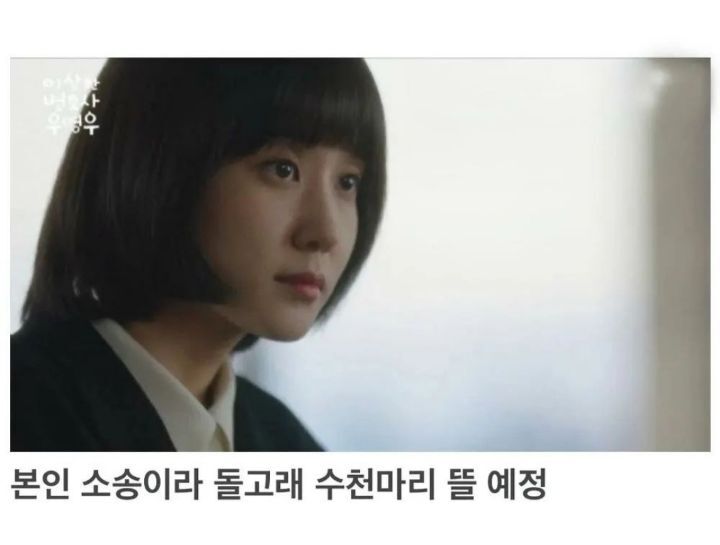 ㅈ된 우영우맘 태수미 | 인스티즈