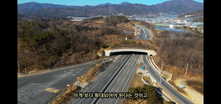 도로 위 야생동물 생태통로를 이용하는 동물들.jpg | 인스티즈