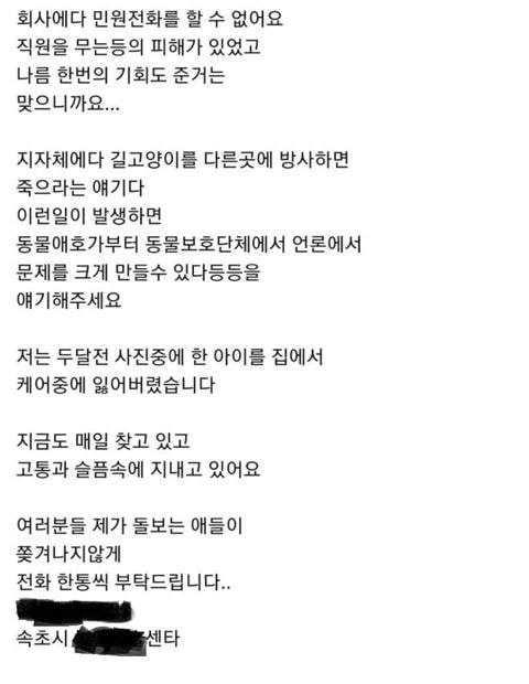 민원테러한 길냥이충들.jpg (20년 7월) | 인스티즈