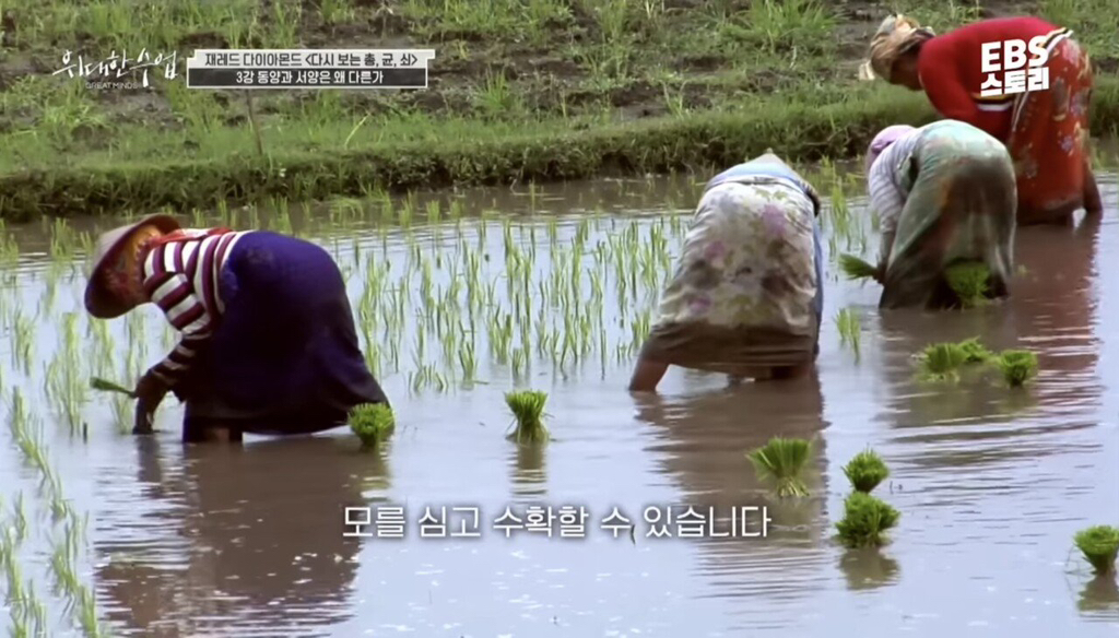 총균쇠 작가가 말하는 동서양 문화차이 원인 | 인스티즈