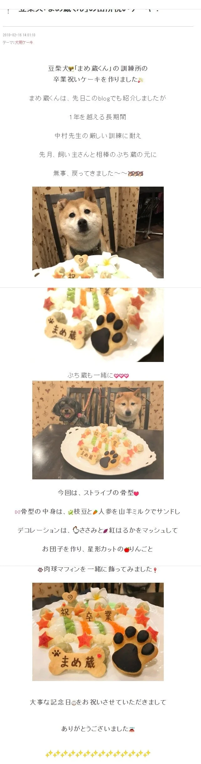 일본판 강아지 교육 1타강사 | 인스티즈