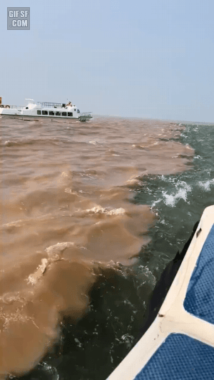 두개의 강이 만나는 지점 | 인스티즈