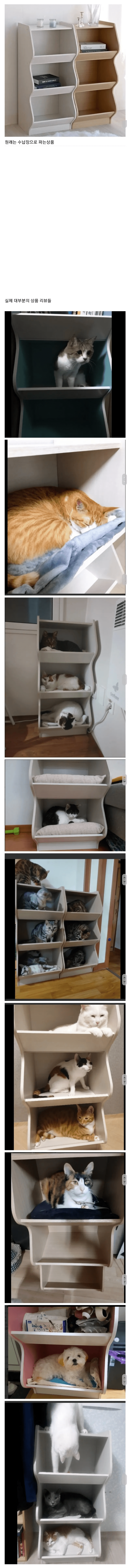 역대급 음향으로 아이돌들 강제 쌩라이브 인증됐던 행사... | 인스티즈