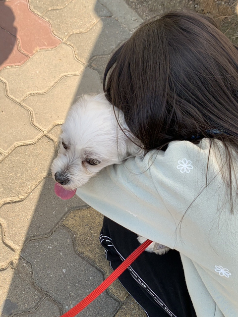 동네 초딩한테 번호 따인 썰 | 인스티즈