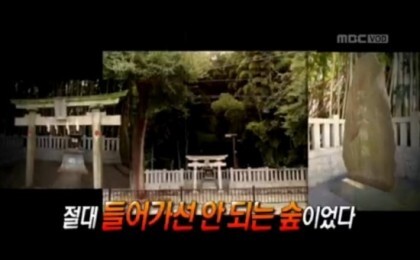 미스테리한 일본의 출입금지된 도심 한복판의 숲 | 인스티즈