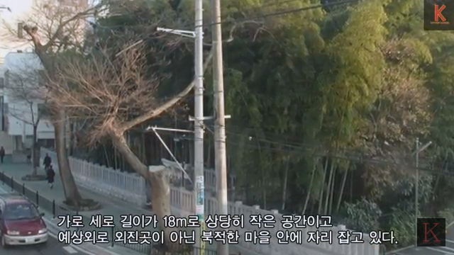 미스테리한 일본의 출입금지된 도심 한복판의 숲 | 인스티즈