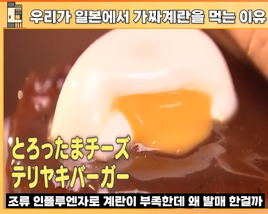 ???:일본 계란은 차원이 다름 | 인스티즈