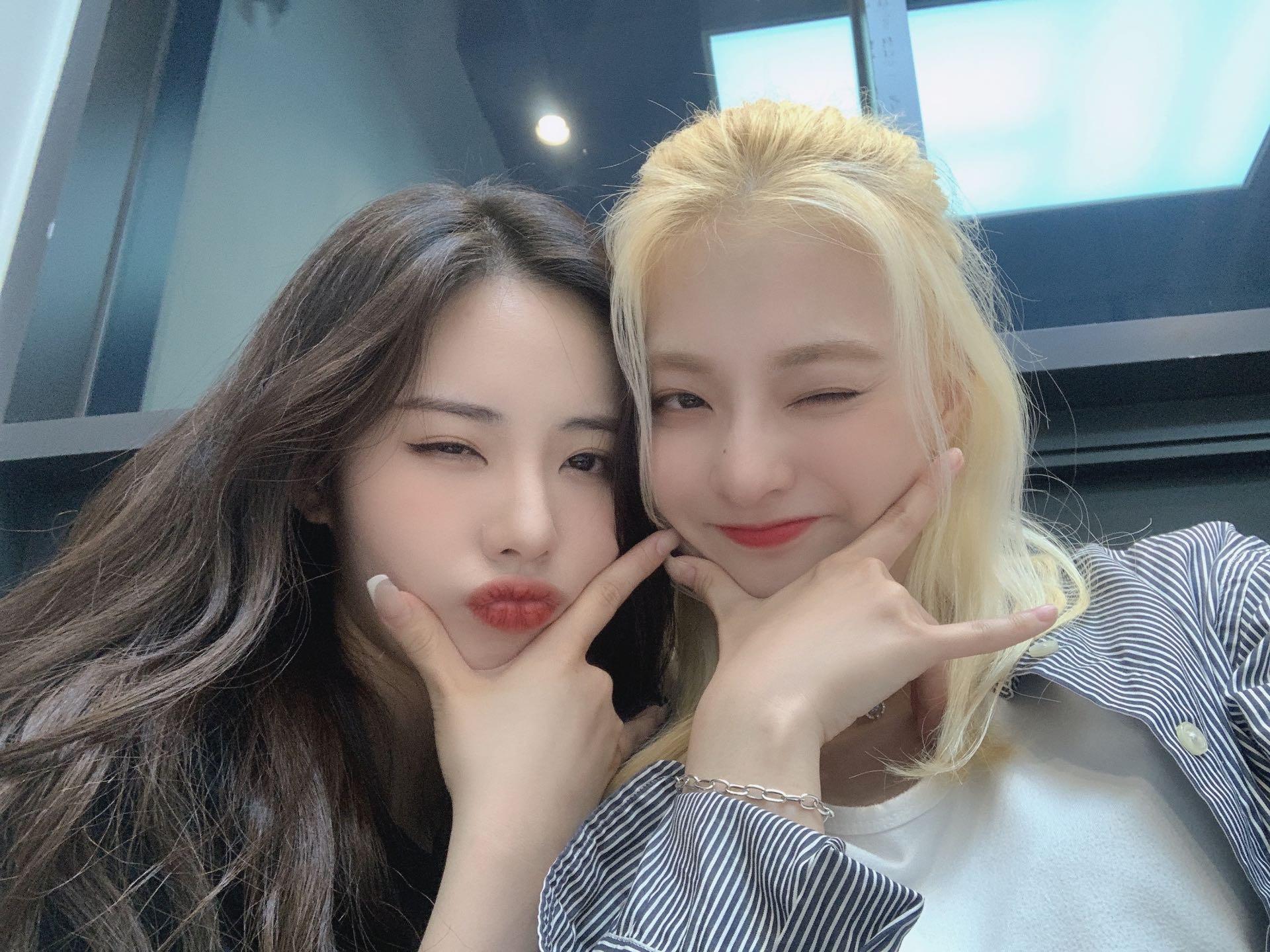 V라이브 채널에 올라온 프로미스나인 총 정리 2탄 | 인스티즈