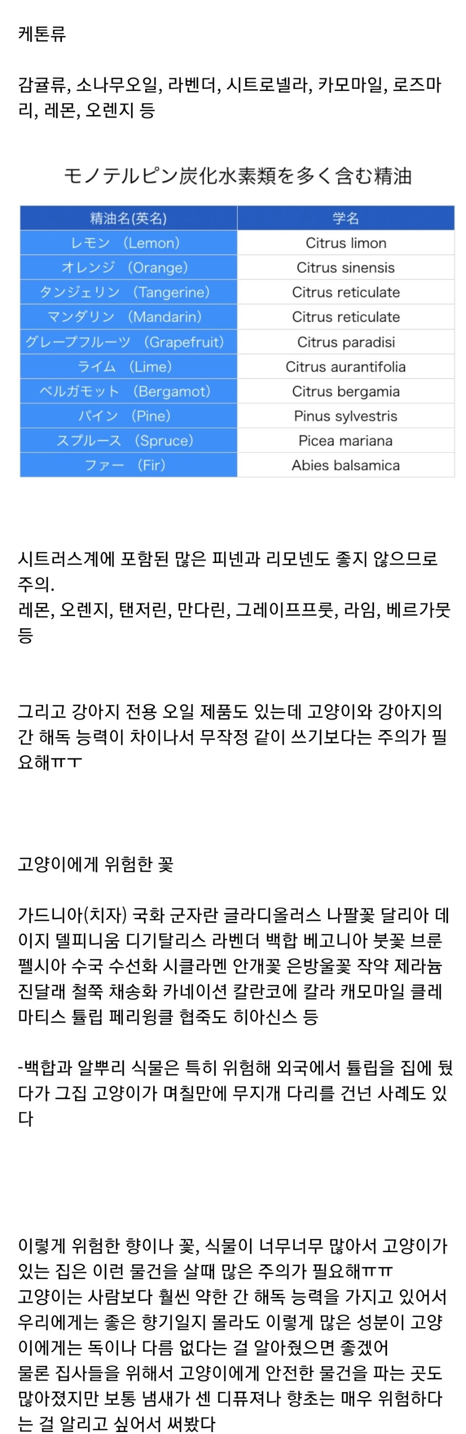 고양이 키우는 집에 디퓨져, 향초, 꽃 선물할때 주의해야 하는 이유 | 인스티즈