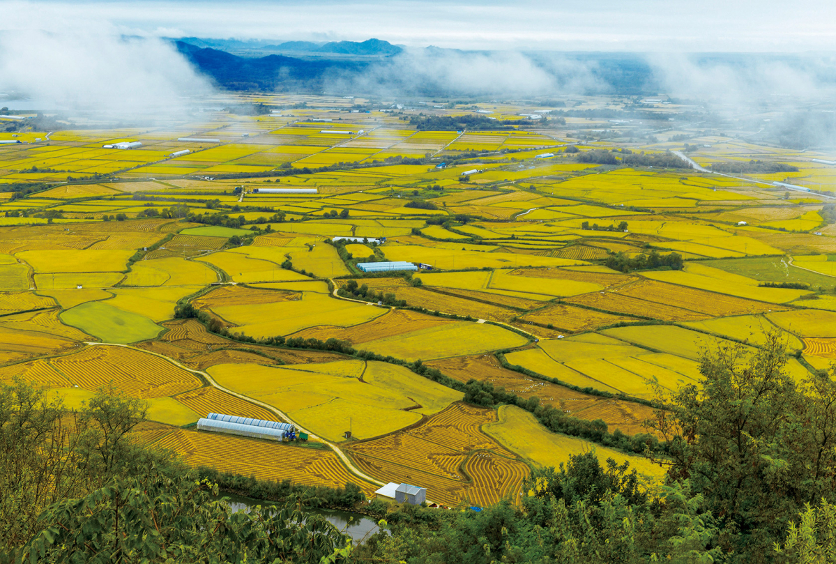 인생샷 찍기 좋다는 국내 배경이 예쁜 여행지들.JPG | 인스티즈