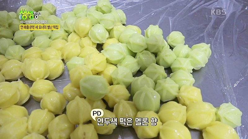 꿀떡 근황..JPG | 인스티즈