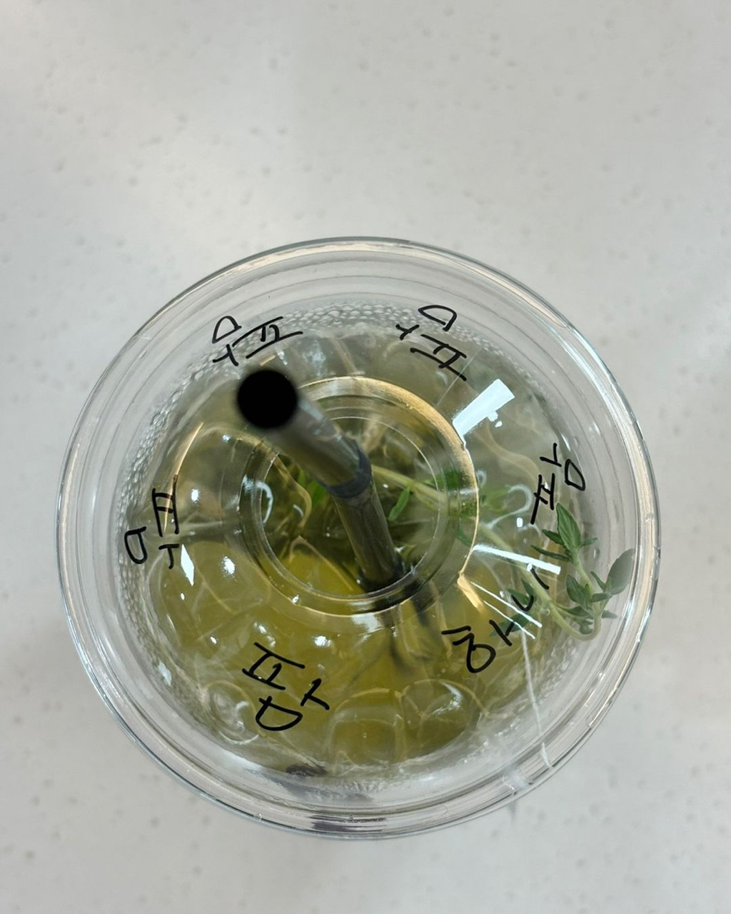 특유 이미지
