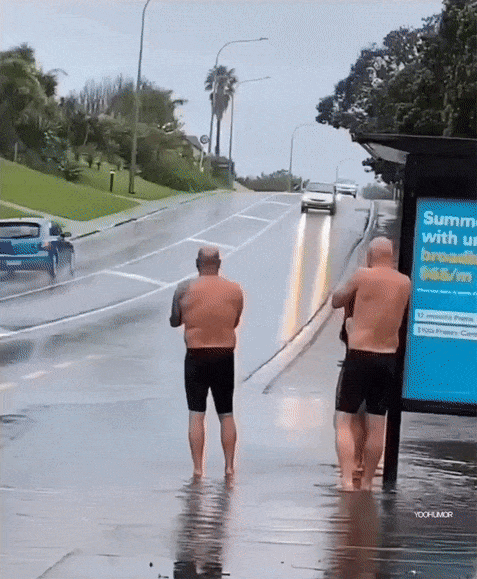 운전하는데 도로가에 이런 사람들이 있다면.gif | 인스티즈