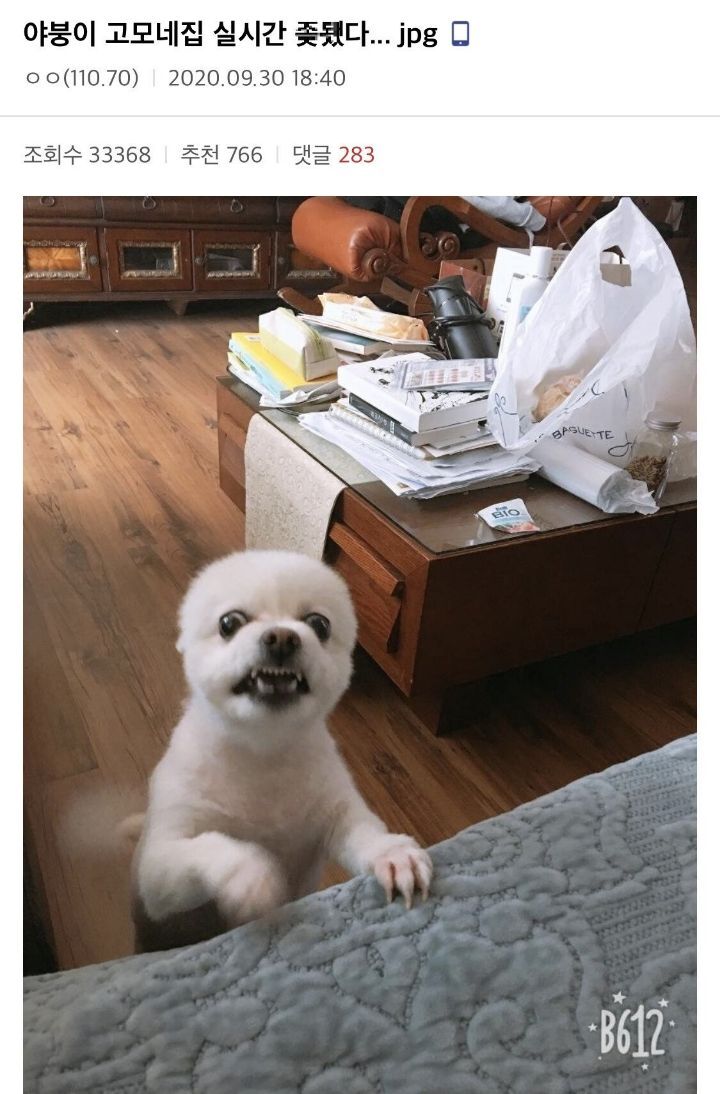 곧 다가올 추석기념 디씨 명절 대참사.jpg | 인스티즈