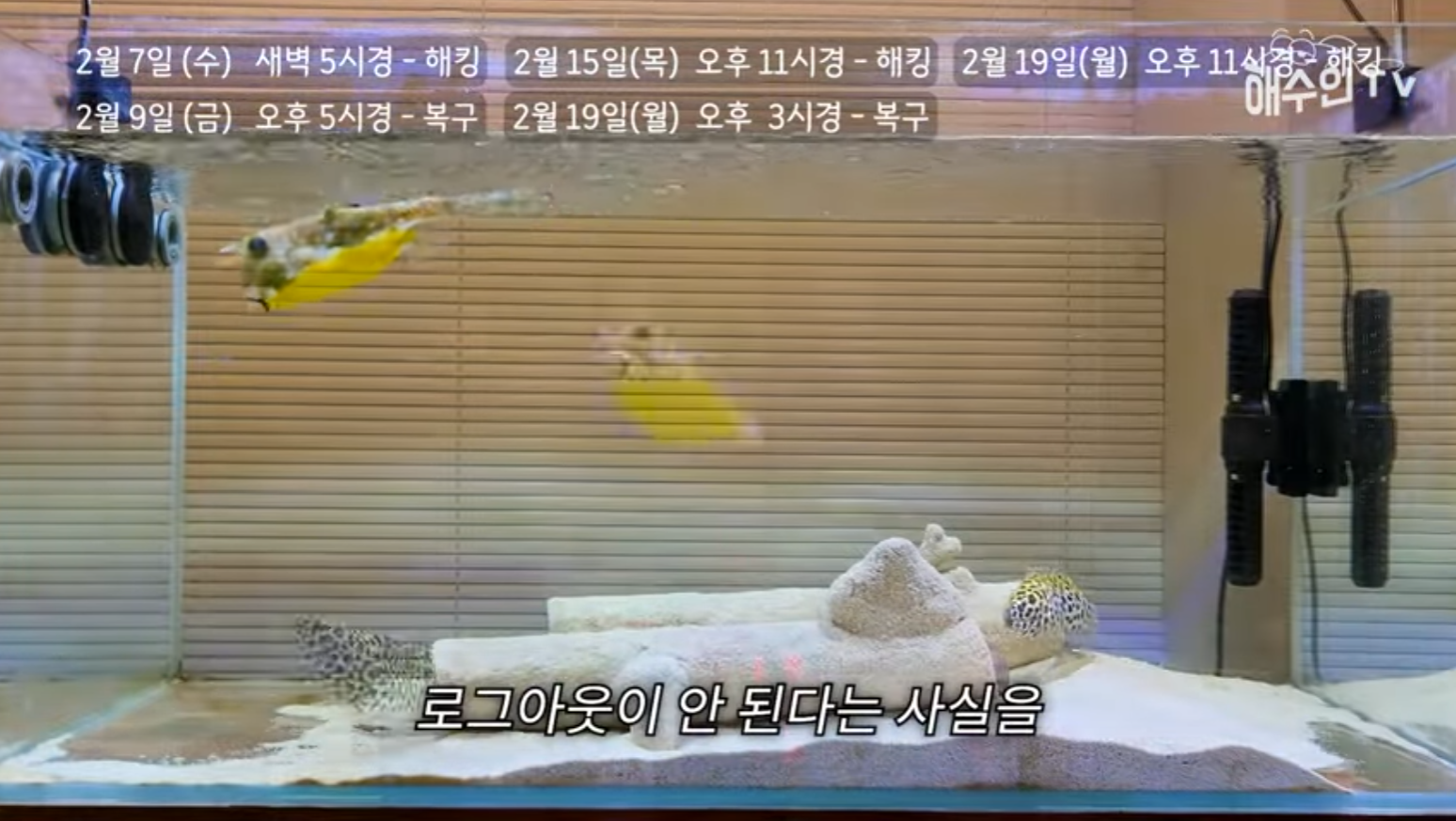 유튜브 계정이 3번이나 해킹 당한 이유 | 인스티즈