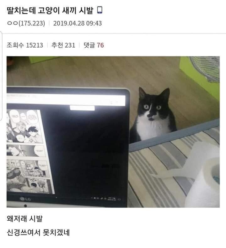 딸치는데 고양 쳐다보네 | 인스티즈