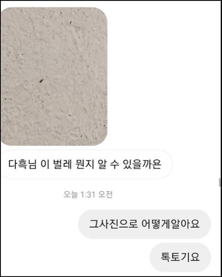 모르는게 없는 유튜버ㅋㅋㅋㅋㅋㅋ.jpg | 인스티즈